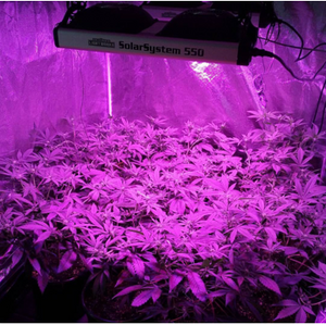 LED Grow Light- SolarSystem 550