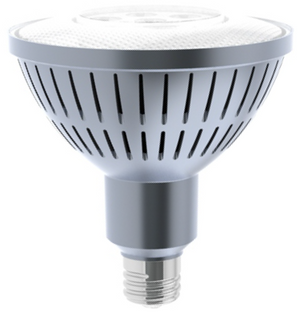 LED PAR38 25W- Auditorium Bulb